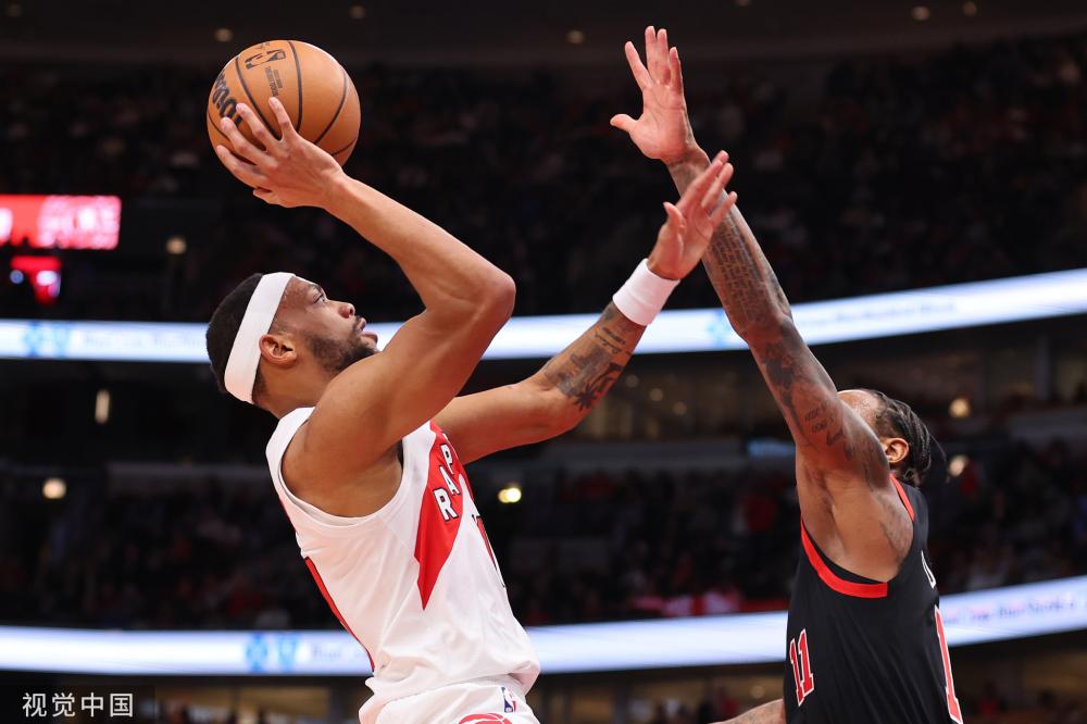 灰熊作为 灰熊作为